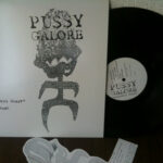 唯一持っているプッシー･ガロアのレコード
