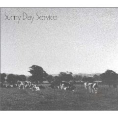 Sunny Day Service