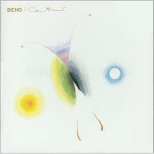 Caetano Veloso / Bicho